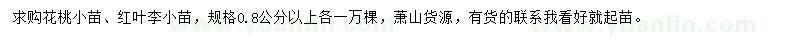 求购0.8公分以上花桃小苗、红叶李小苗