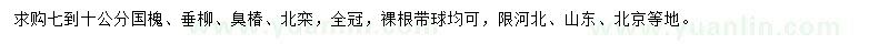 求购国槐、垂柳、臭椿等