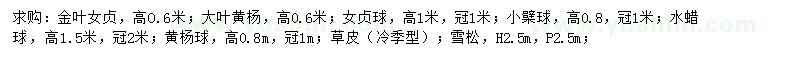 求购金叶女贞、大叶黄杨、女贞球等