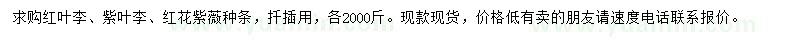 求购红叶李、紫叶李、红花紫薇种条