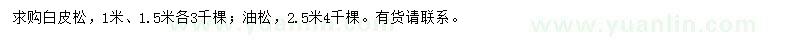 求购1、1.5米白皮松、2.5米油松