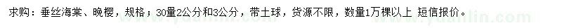 求购30公分量2、3公分垂丝海棠、晚樱