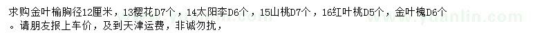 求购金叶榆、樱花、太阳李等