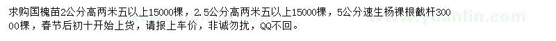 求购2、2.5公分国槐、5公分速生杨