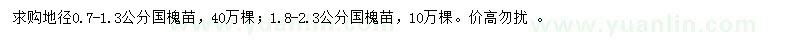 求购地径0.7-1.3、1.8-2.3公分国槐