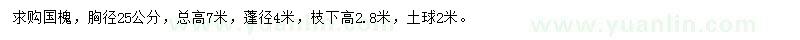 求购胸径25公分国槐