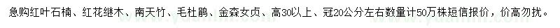 求购红叶石楠、红花继木、南天竹等