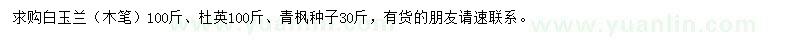 求购白玉兰（木笔）、杜英、青枫种子