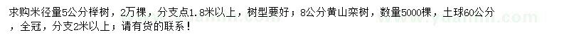 求购米径量5公分榉树、8公分黄山栾树