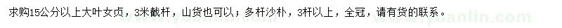 求购15公分以上大叶女贞、多杆沙朴