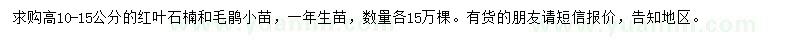 求购高10-15公分红叶石楠、毛鹃小苗