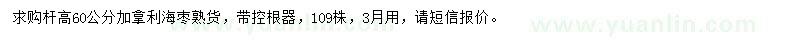 求购杆高60公分加拿利海枣