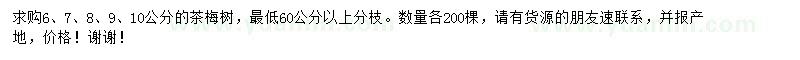 求购6-10公分茶梅树