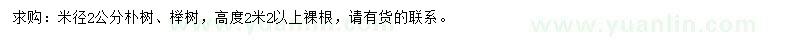 求购米径2公分朴树、榉树