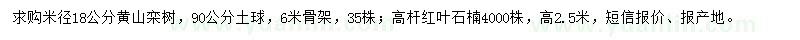 求购米径18公分黄山栾树、高2.5米红叶石楠