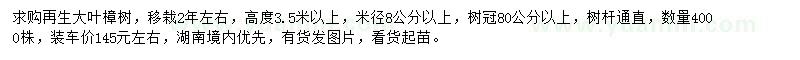 求购米径8公分以上大叶樟