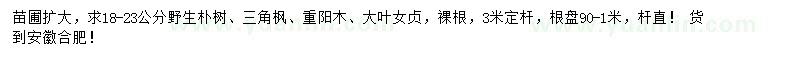 求购朴树、三角枫、重阳木等