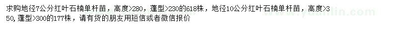 求购地径7、10公分红叶石楠