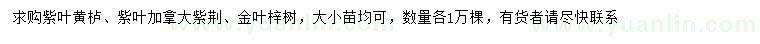 求购紫叶黄栌、紫叶加拿大紫荆、金叶梓树