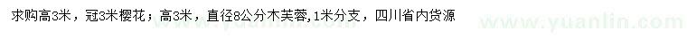 求购高3米樱花、木芙蓉