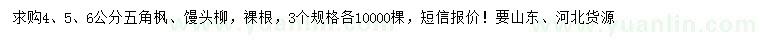 求购4、5、6公分五角枫、馒头柳