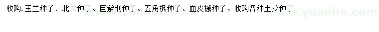 求购玉兰种子、北栾种子、巨紫荆种子等