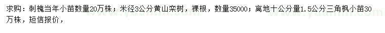 求购刺槐小苗、黄山栾树、三角枫小苗