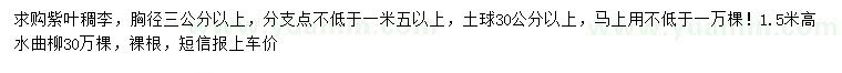 求购胸径3公分以上紫叶稠李、高1.5米水曲柳