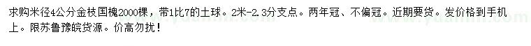 求购米径4公分金枝国槐