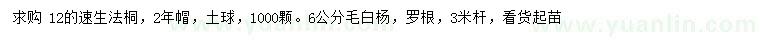 求购12公分速生法桐、6公分毛白杨 