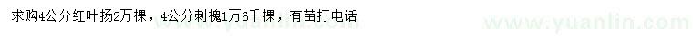 求购4公分红叶扬、刺槐