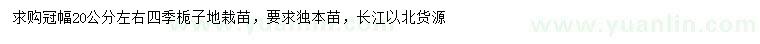 求购冠幅20公分左右四季栀子