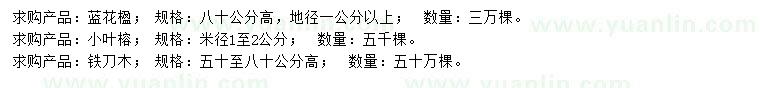 求购蓝花楹、小叶榕、铁刀木