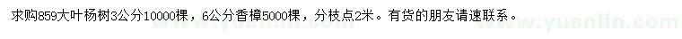 求购3公分大叶杨树、6公分香樟