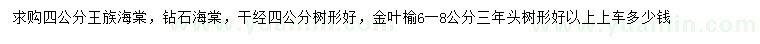 求购王族海棠、钻石海棠、金叶榆