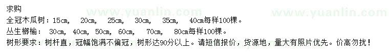 求购全冠木瓜树、丛生榔榆