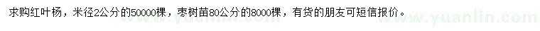 求购米径2公分红叶杨、80公分枣树