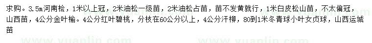 求购河南桧、油松、白皮松等