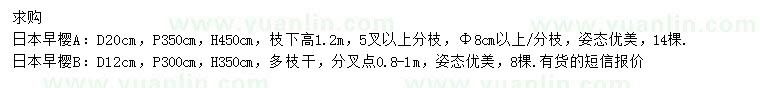 求购地径12、20公分日本早樱