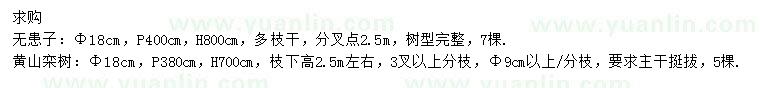 求购胸径18公分无患子、黄山栾树