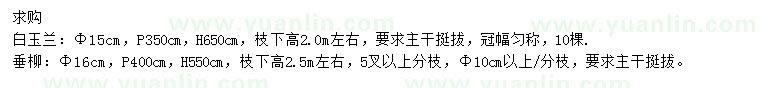 求购胸径15公分白玉兰、胸径16公分垂柳