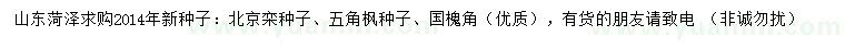 求购北京栾、五角枫、国槐角种子