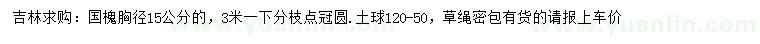 求购胸径15公分国槐