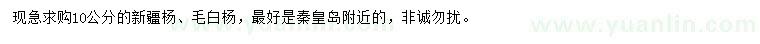 求购10公分新疆杨、毛白杨