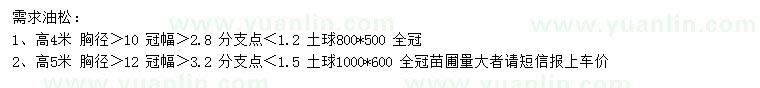 求购高4、5米油松