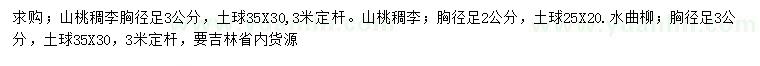 求购胸径2、3公分山桃稠李、胸径3公分水曲柳