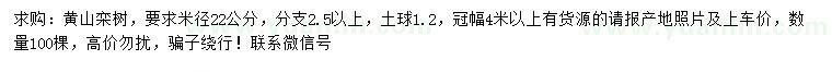 求购米径22公分黄山栾树