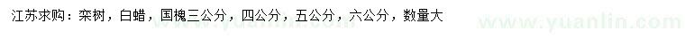 求购栾树、白蜡、国槐