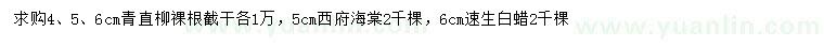 求购青直柳、西府海棠、速生白蜡