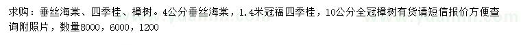 求购垂丝海棠、四季桂、樟树